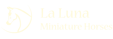 La Luna Miniatures